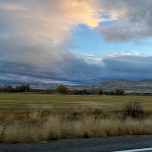 Meet your Posher, Dana